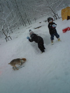 20101231121416.jpg