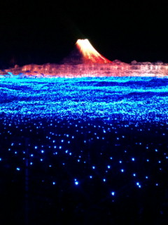 20110103184311.jpg