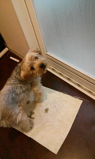 IMG00647.jpg